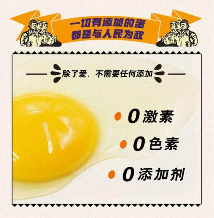 每天一個土元雞蛋 營養(yǎng)又健康